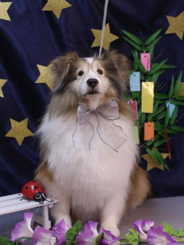 20230704カレンちゃん